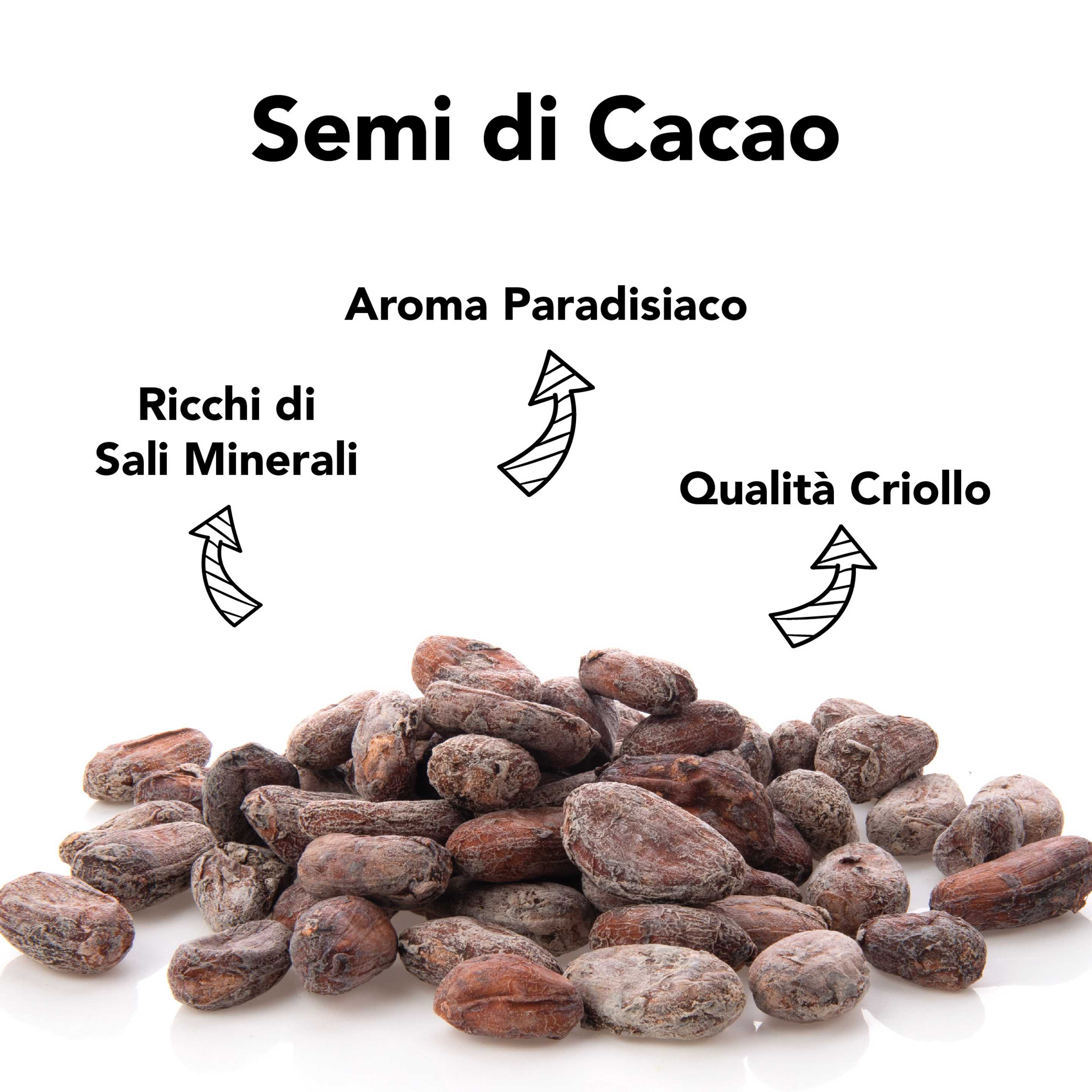 Burro di Cacao Criollo crudo in pezzi - Cibo Crudo