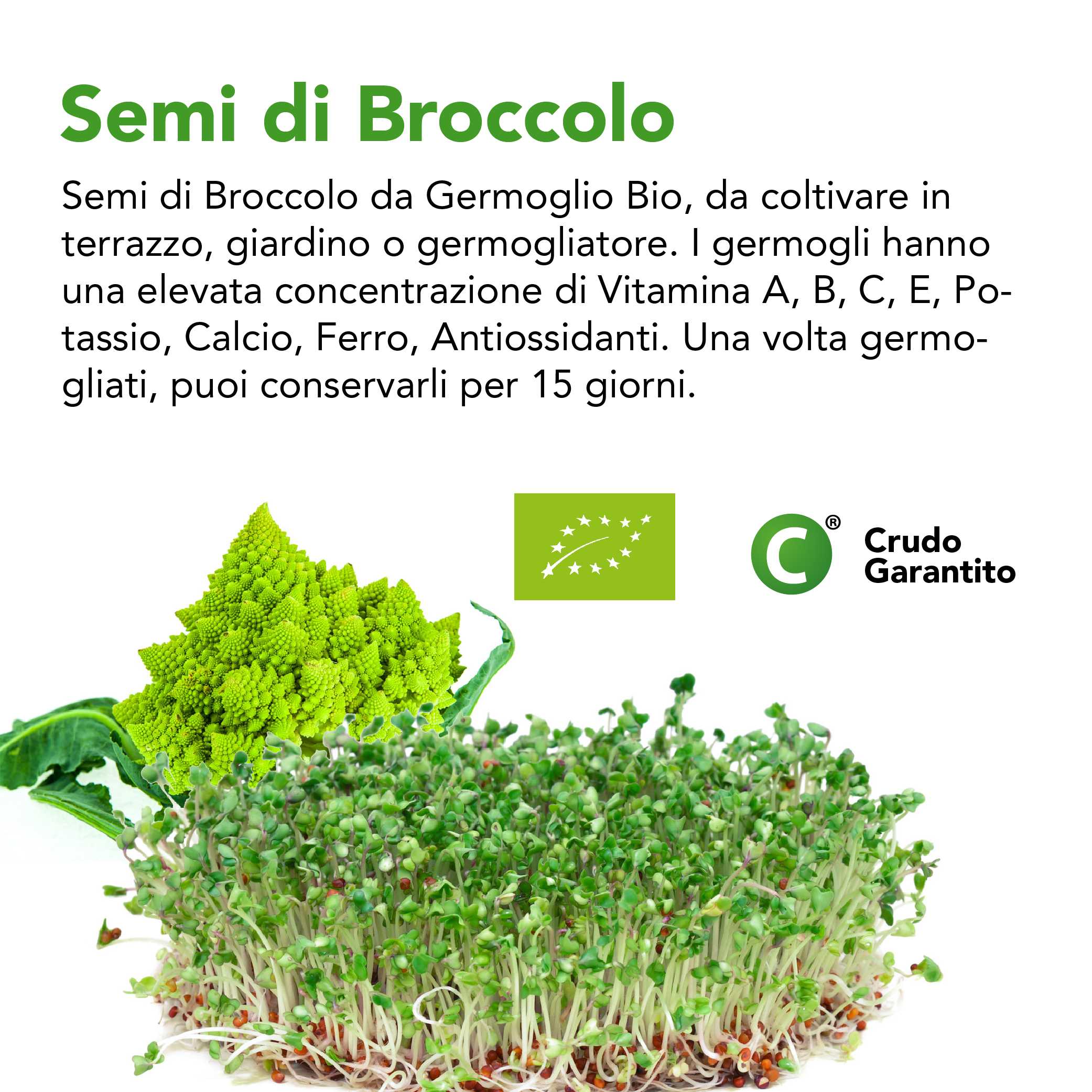 Semi Di Broccolo Da Germoglio Bio 3