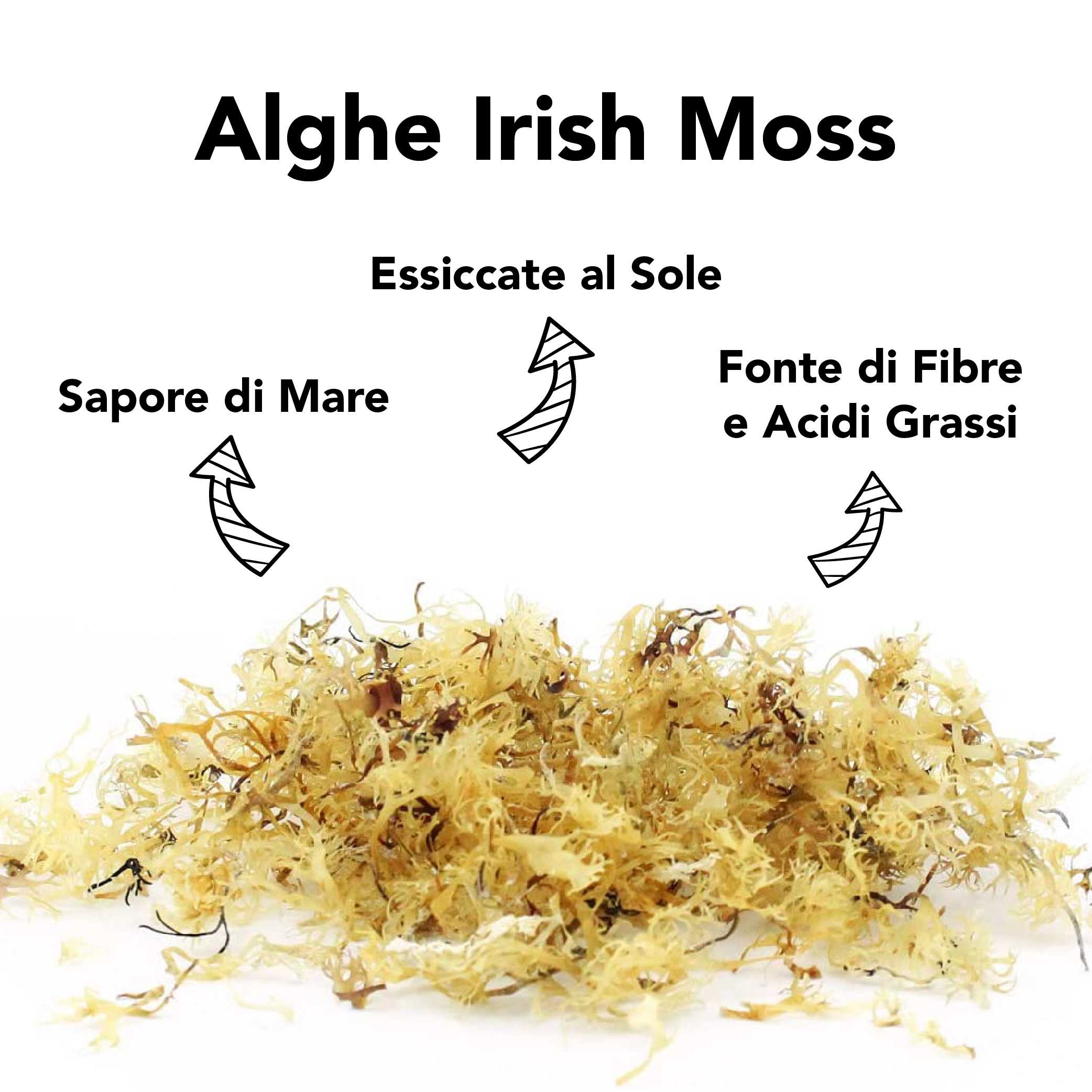 Alghe Irish Moss (Chondrus Crispus) Crude E Bio 5