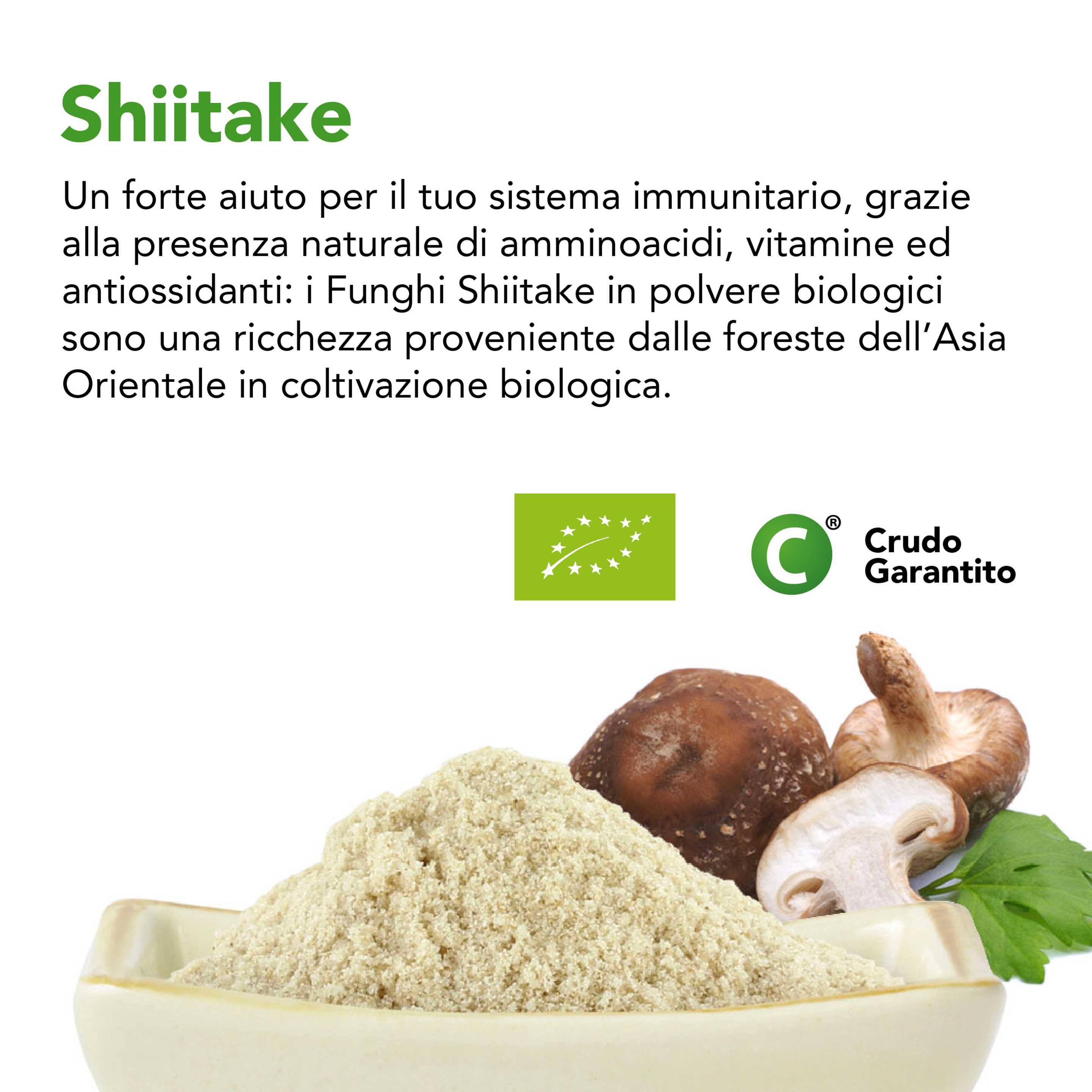 Funghi Shiitake (Lentinula Edodes) Crudi Bio 5