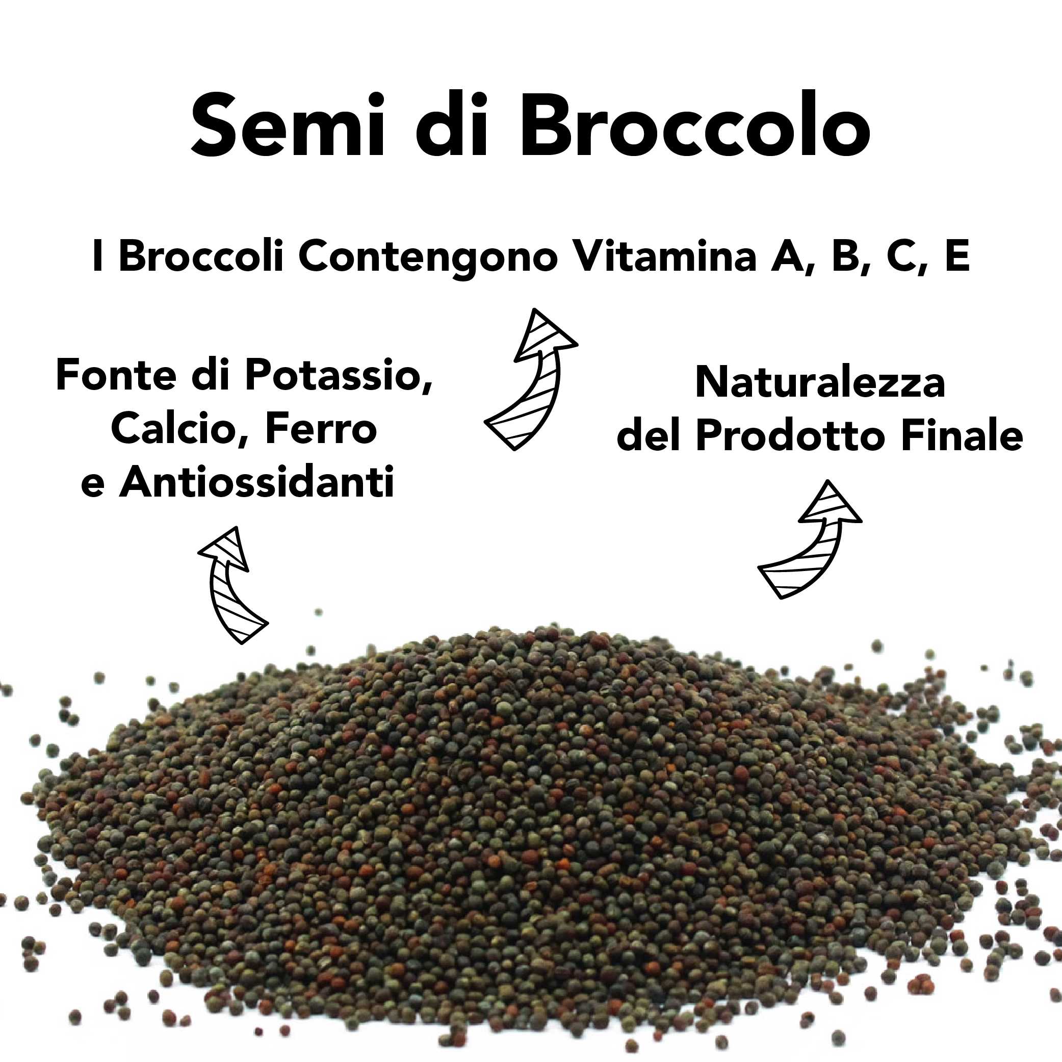 Semi Di Broccolo Da Germoglio Bio 5
