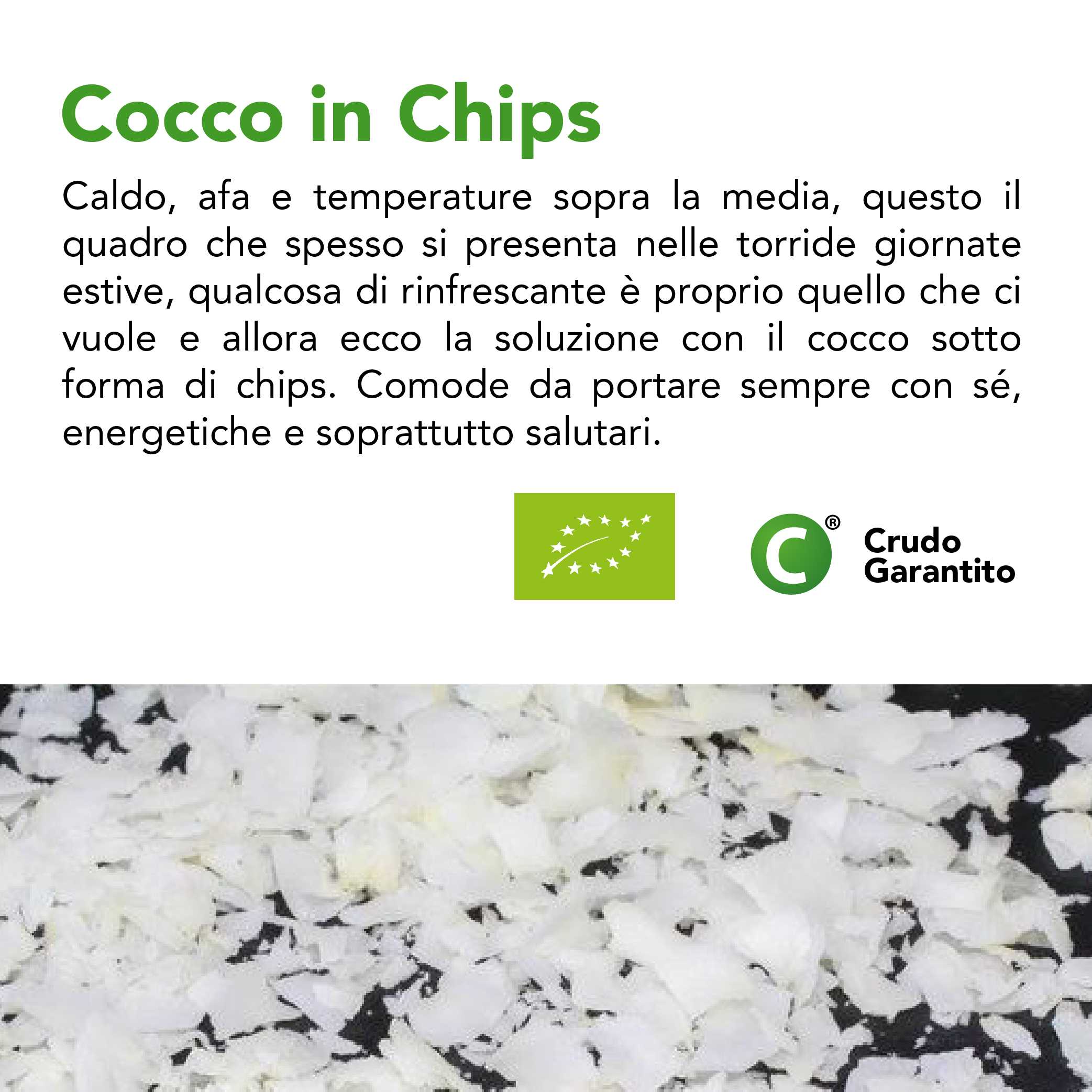 Chips Di Cocco Crudo Bio 5