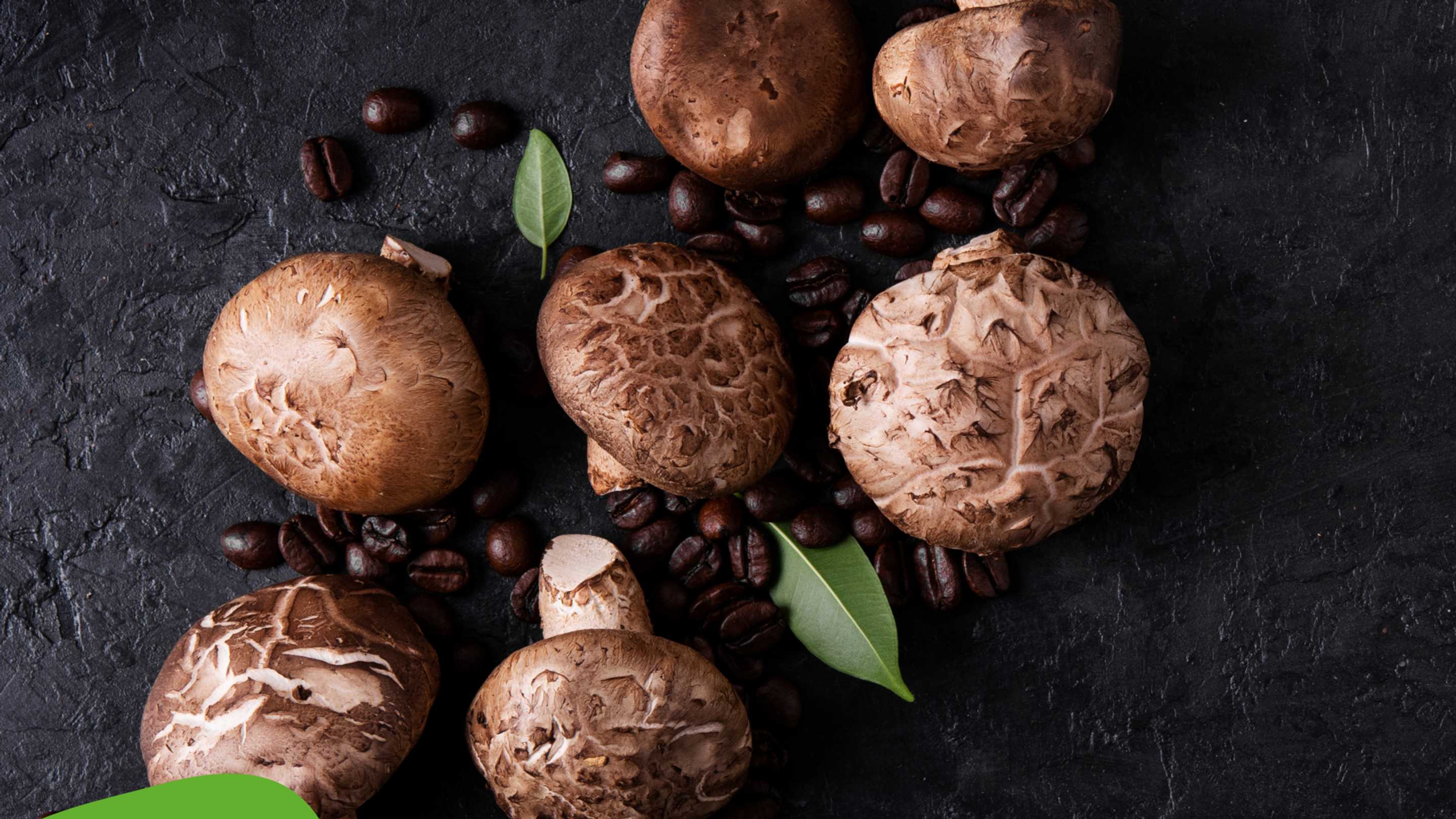 Funghi Shiitake: Proprietà, Benefici e Ricette