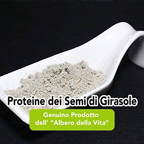 Proteine Dei Semi Di Girasole Crude Bio 6
