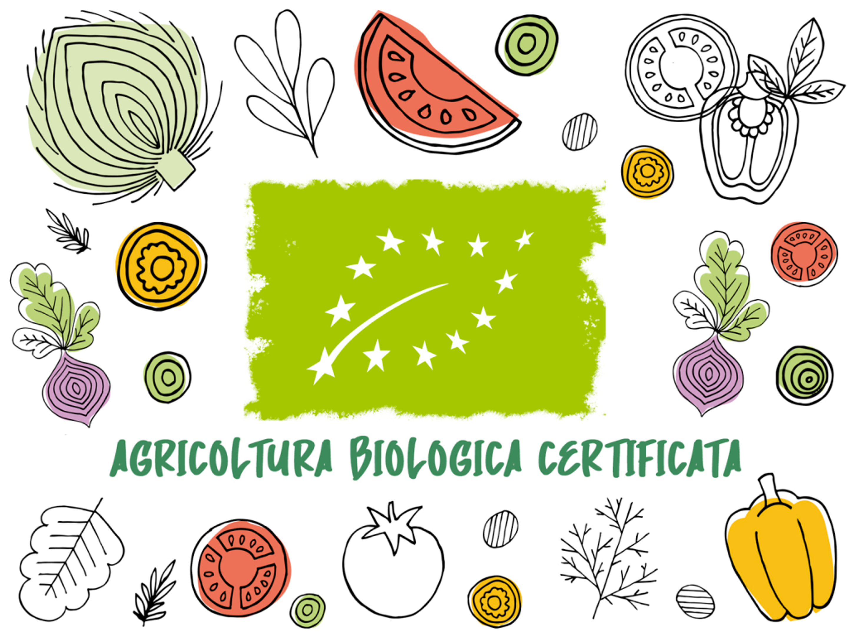 Logo del certificato per l'agricoltura biologica