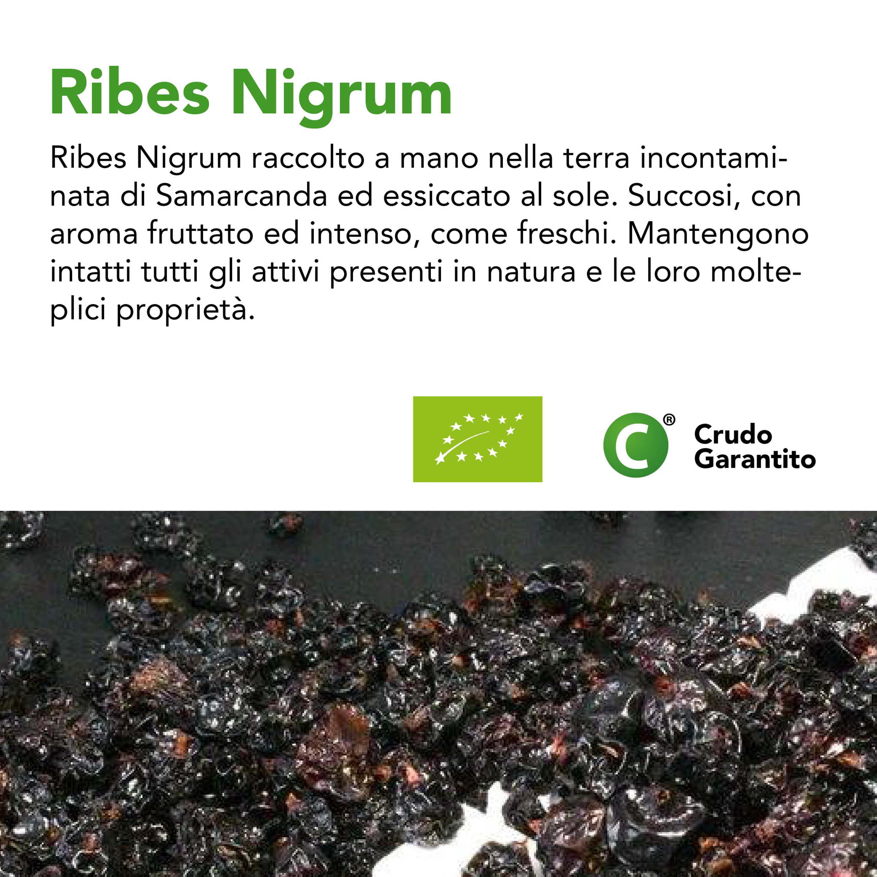 Ribes Nigrum Bio 4