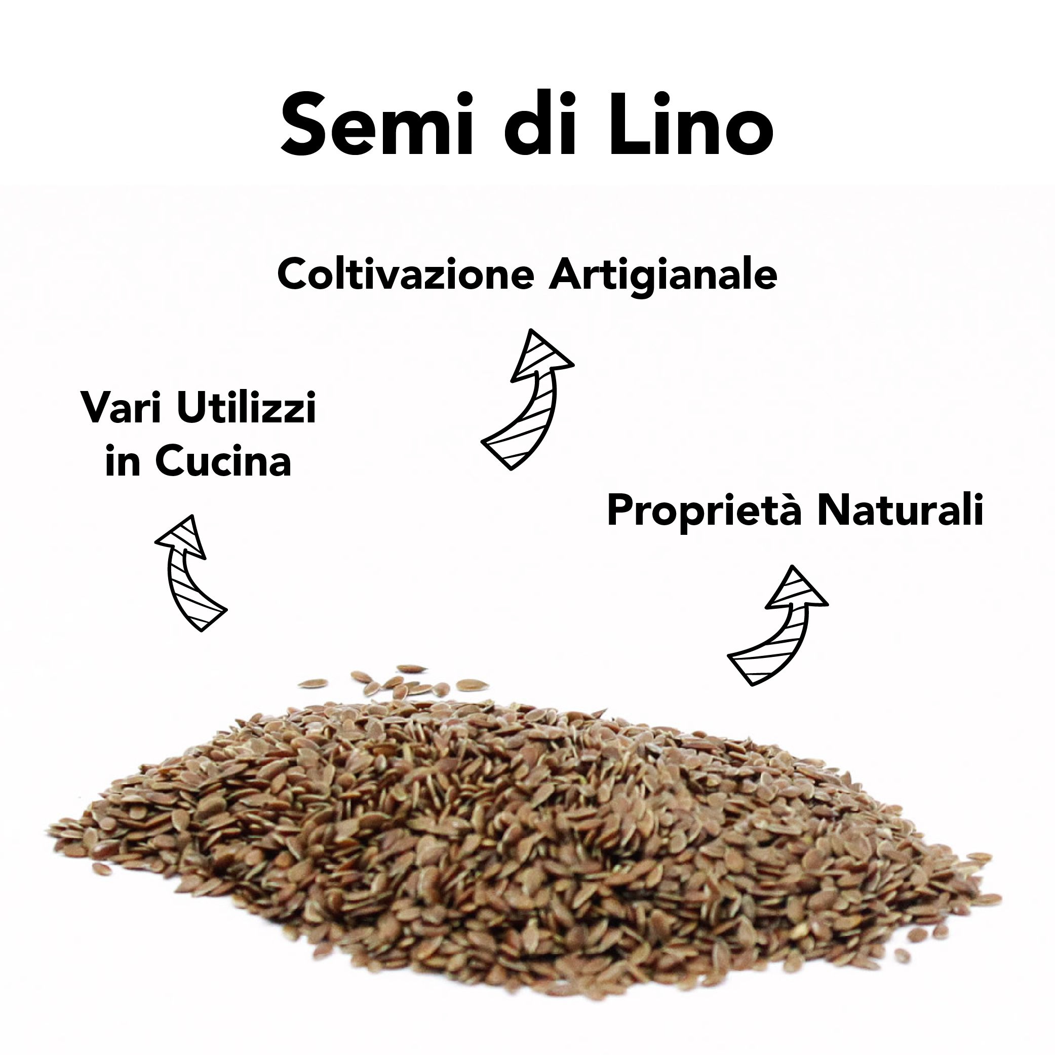 Colfiorito - Semi di Lino tostati bio