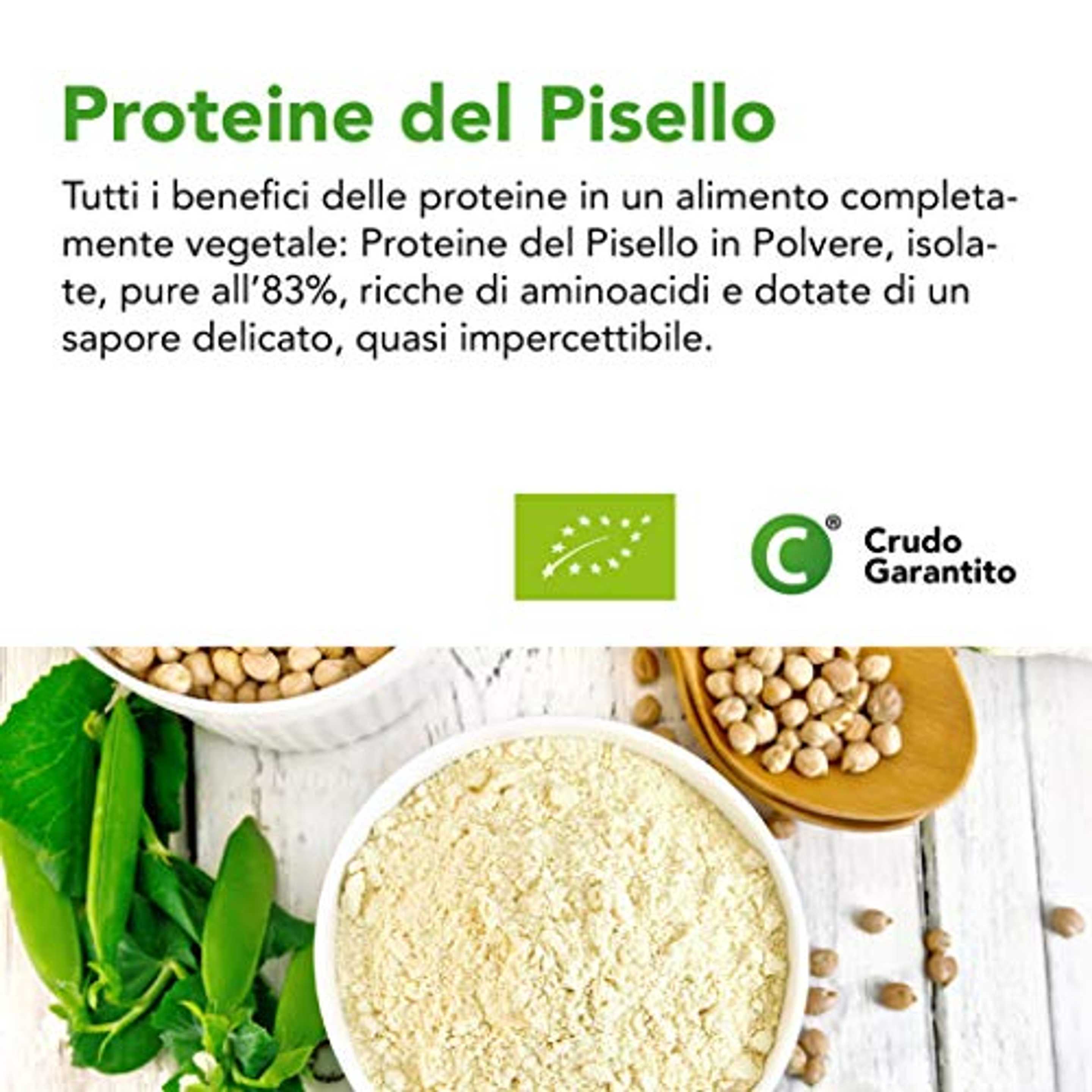 Compra ora Proteine Della Canapa in Polvere Bio - Proteine Vegetali