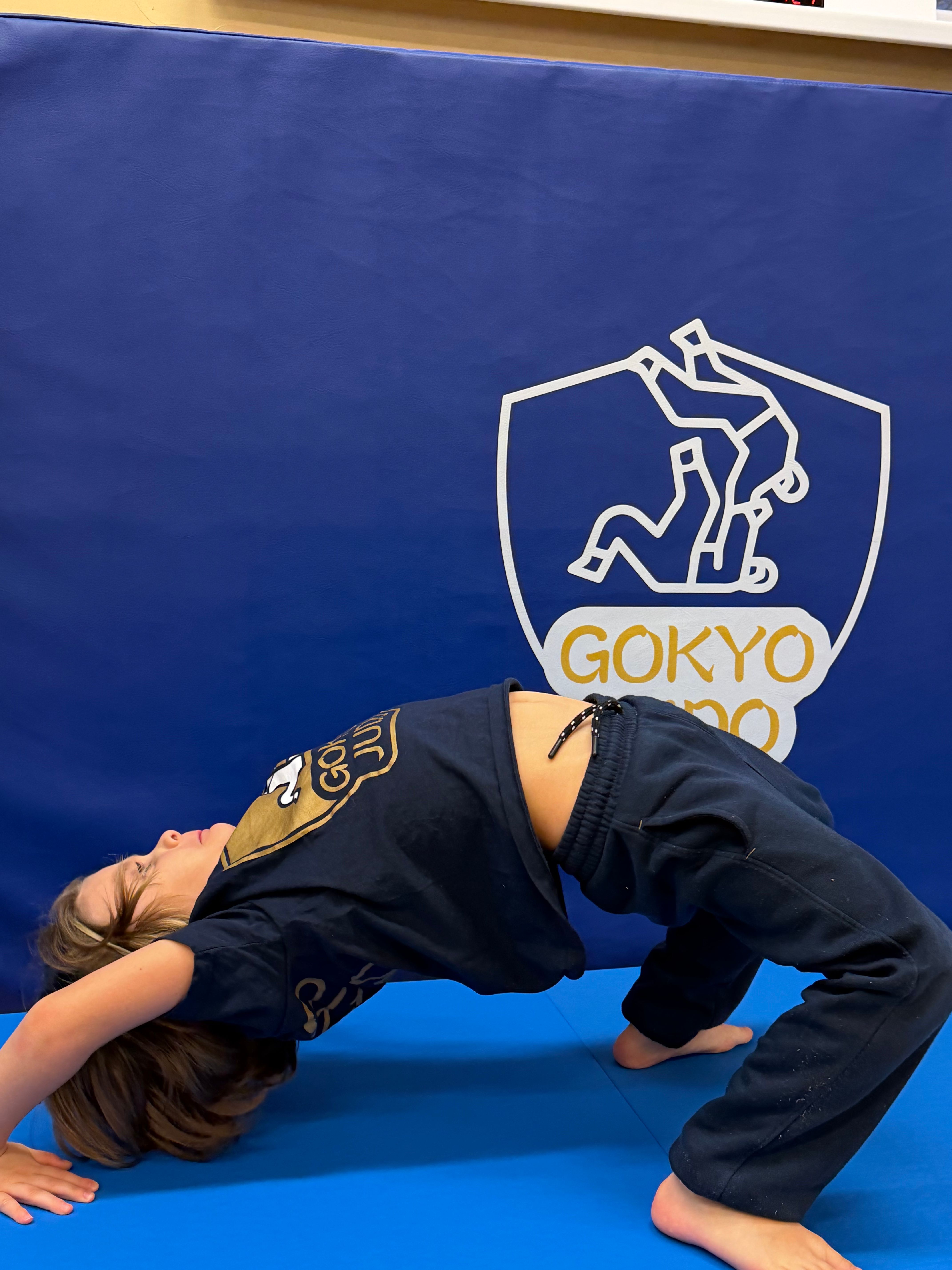 Gokyo Judo Wrocław i okolice