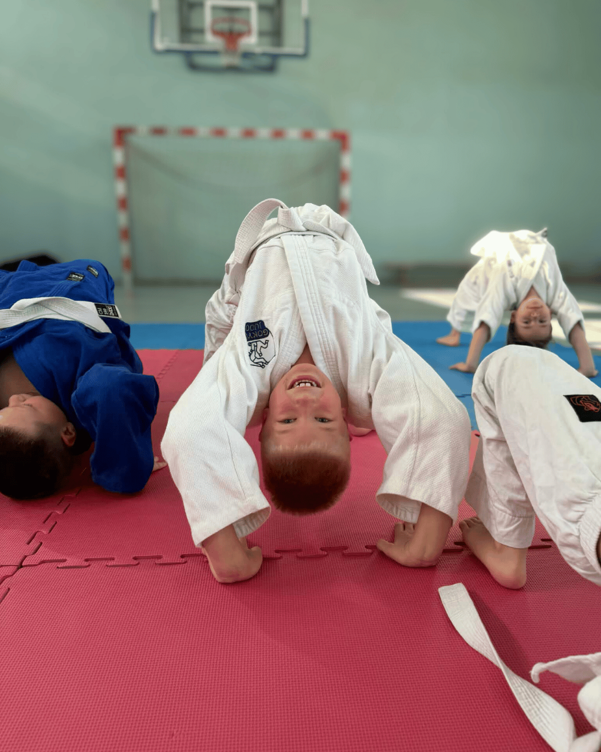 Gokyo Judo Wrocław i okolice