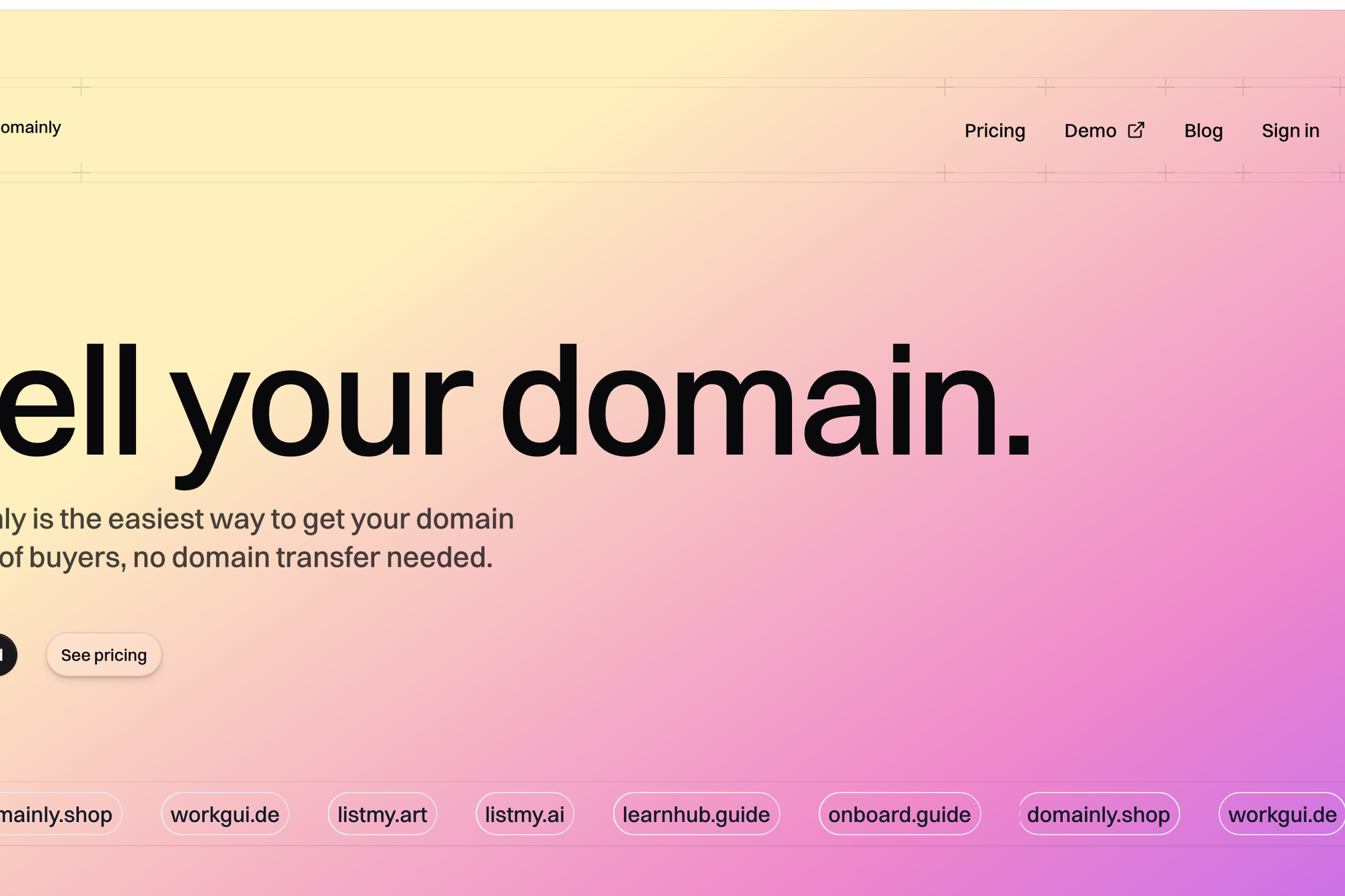 The domainly landing page