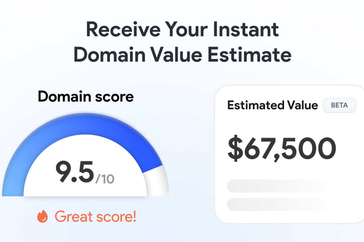 Domain Appraisal