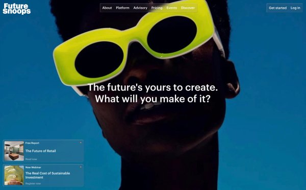 Future Snoops thumbnail