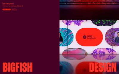 Bigfish thumbnail