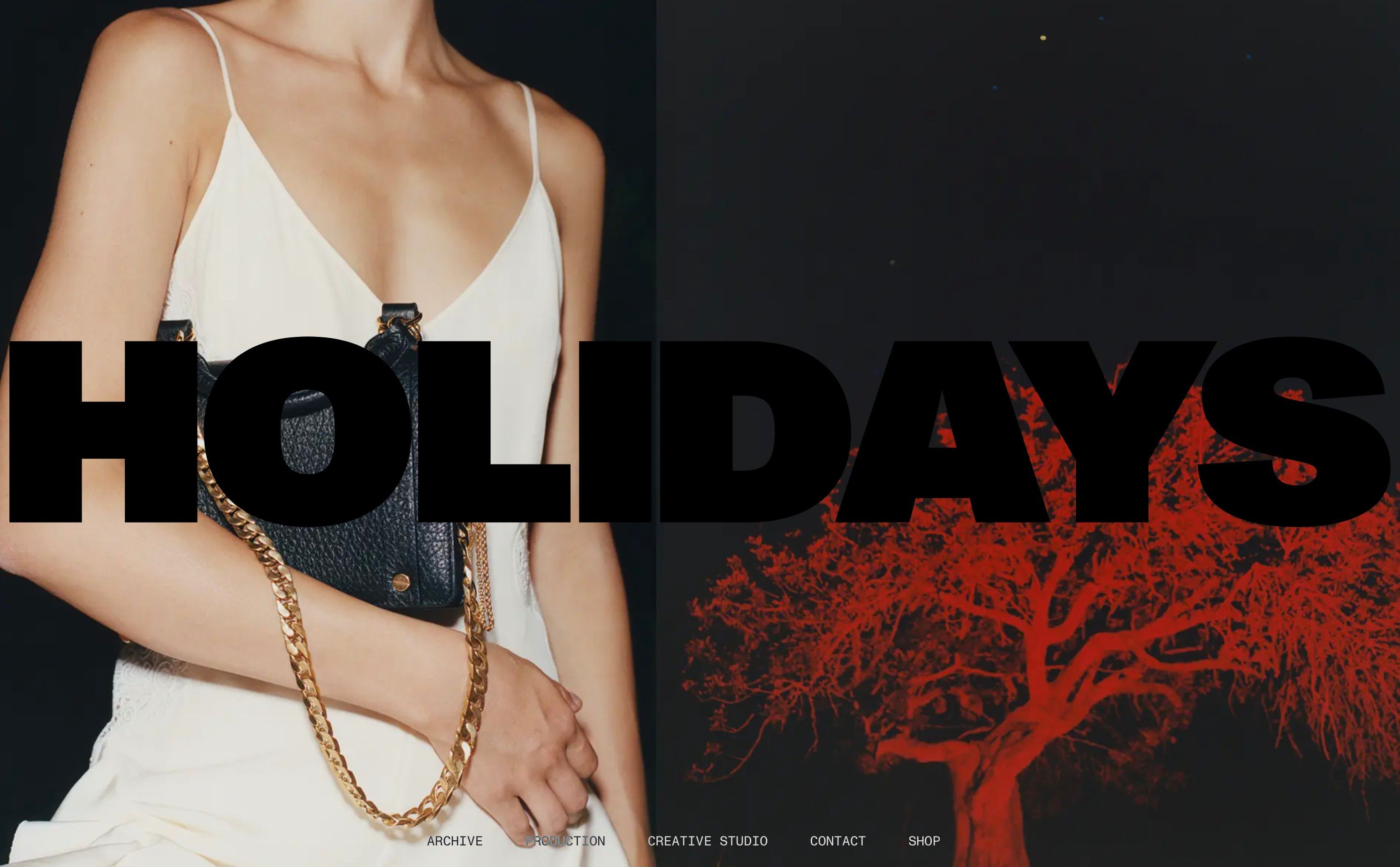 HOLIDAYS thumbnail