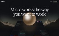 Micro