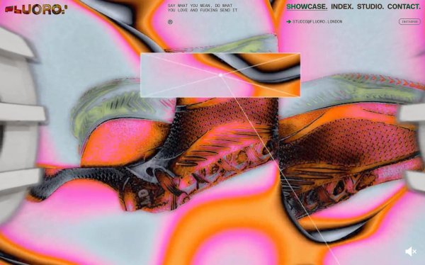 FLUORO thumbnail