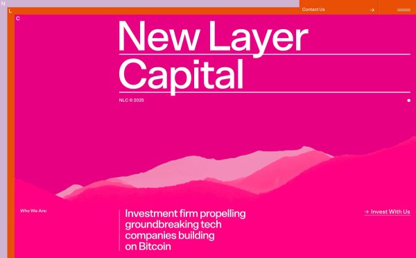 New Layer Capital thumbnail