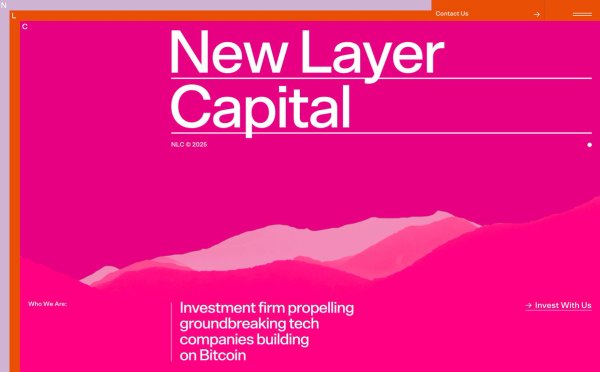 New Layer Capital thumbnail