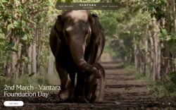 Vantara thumbnail