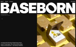BASEBORN thumbnail
