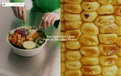 The Salad Project thumbnail