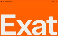 Exat - Hot Type