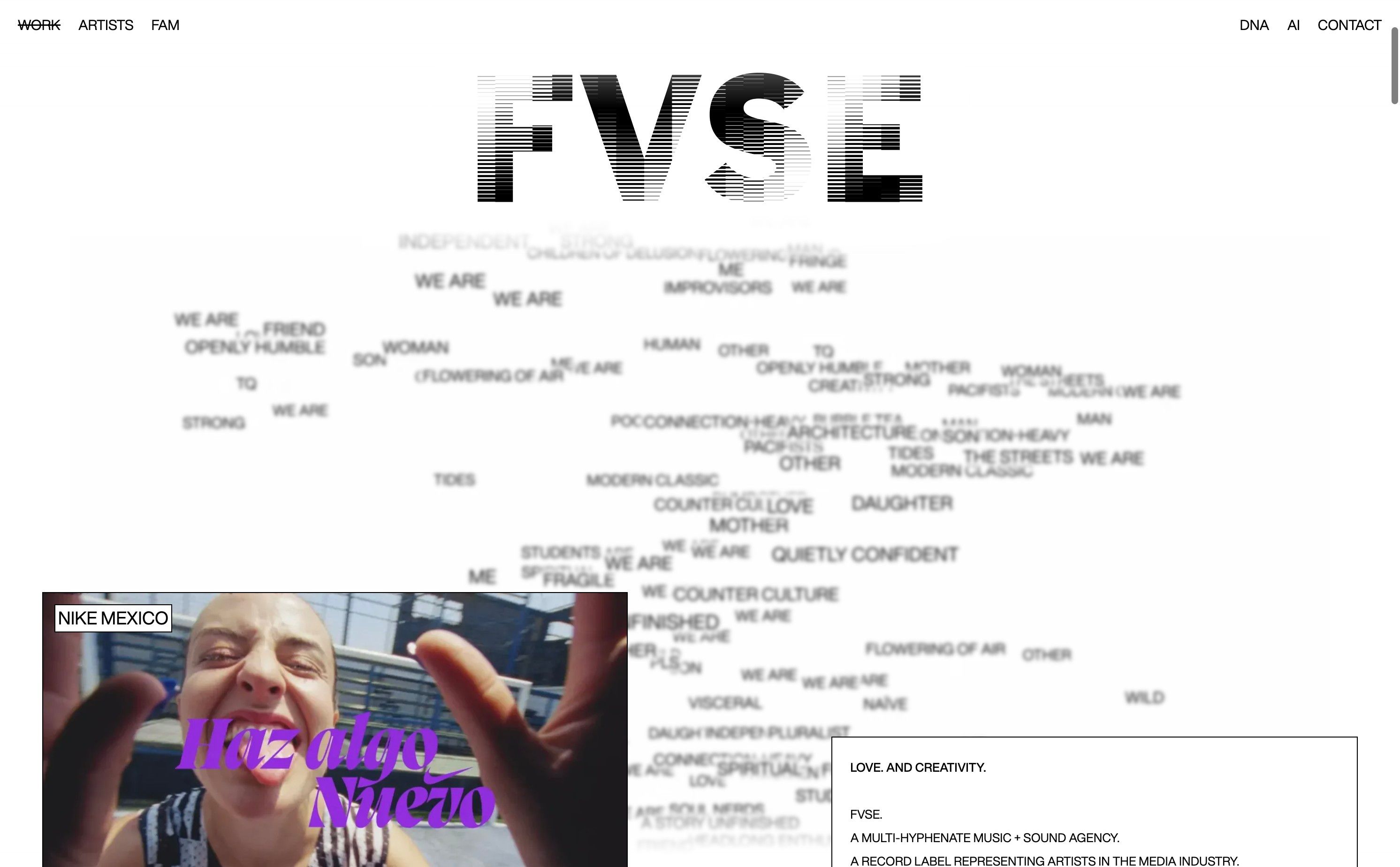 FVSE thumbnail