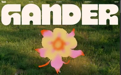 Gander