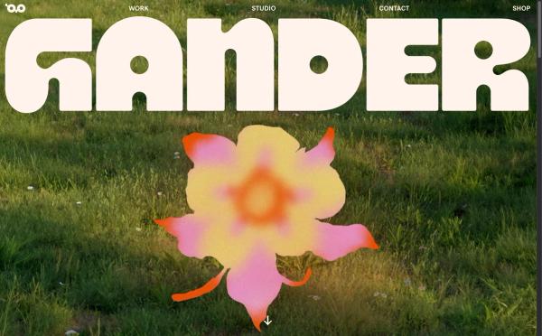 Gander thumbnail
