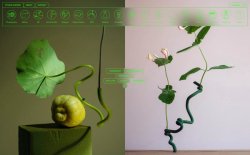 Studio Kleiner thumbnail