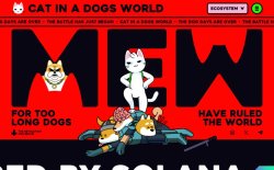 MEW thumbnail
