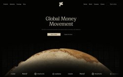 Fin — Global Money Movement thumbnail