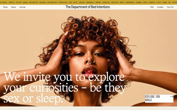 The Department of Bed Intentions thumbnail