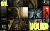 Mr. Mold