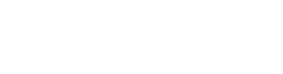 TAV Technologies