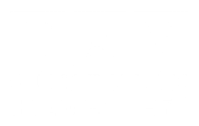 TAV Security