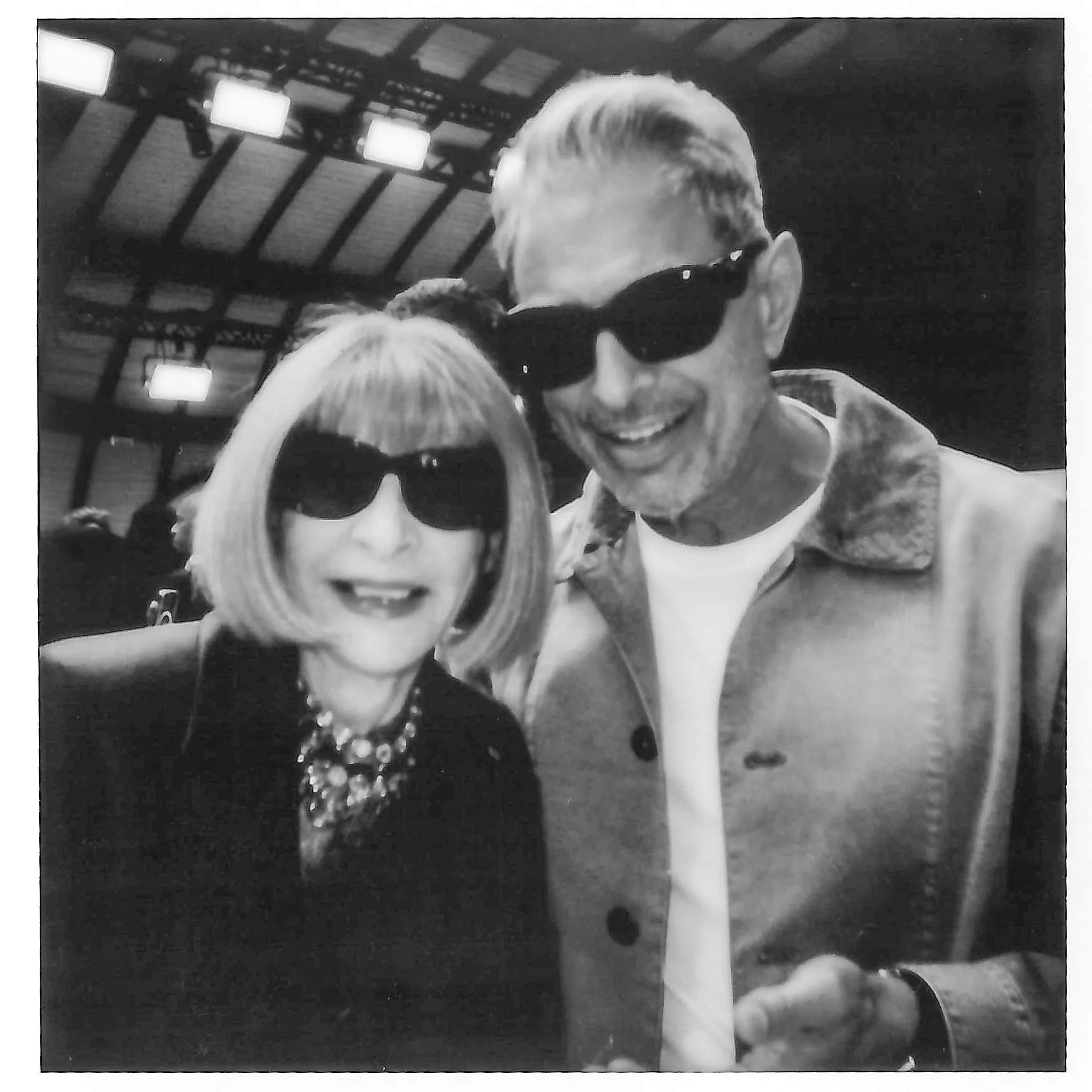 Anna Wintour, Jeff Goldblum