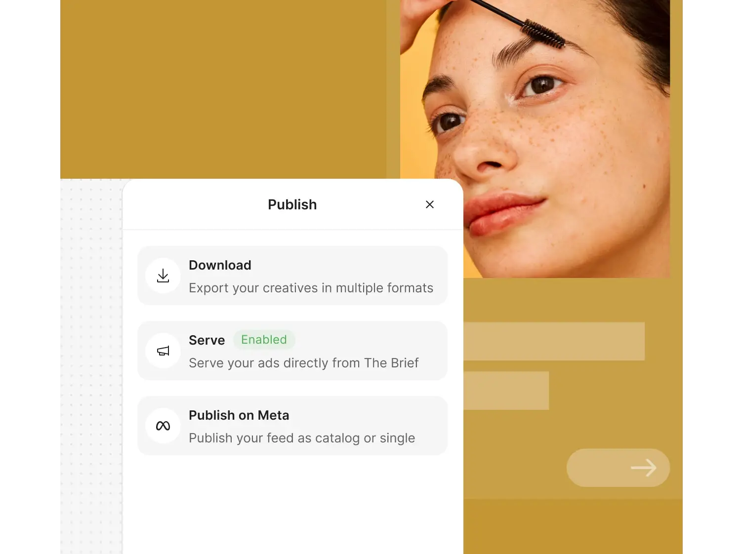Launch and optimize ads from the same place you create them