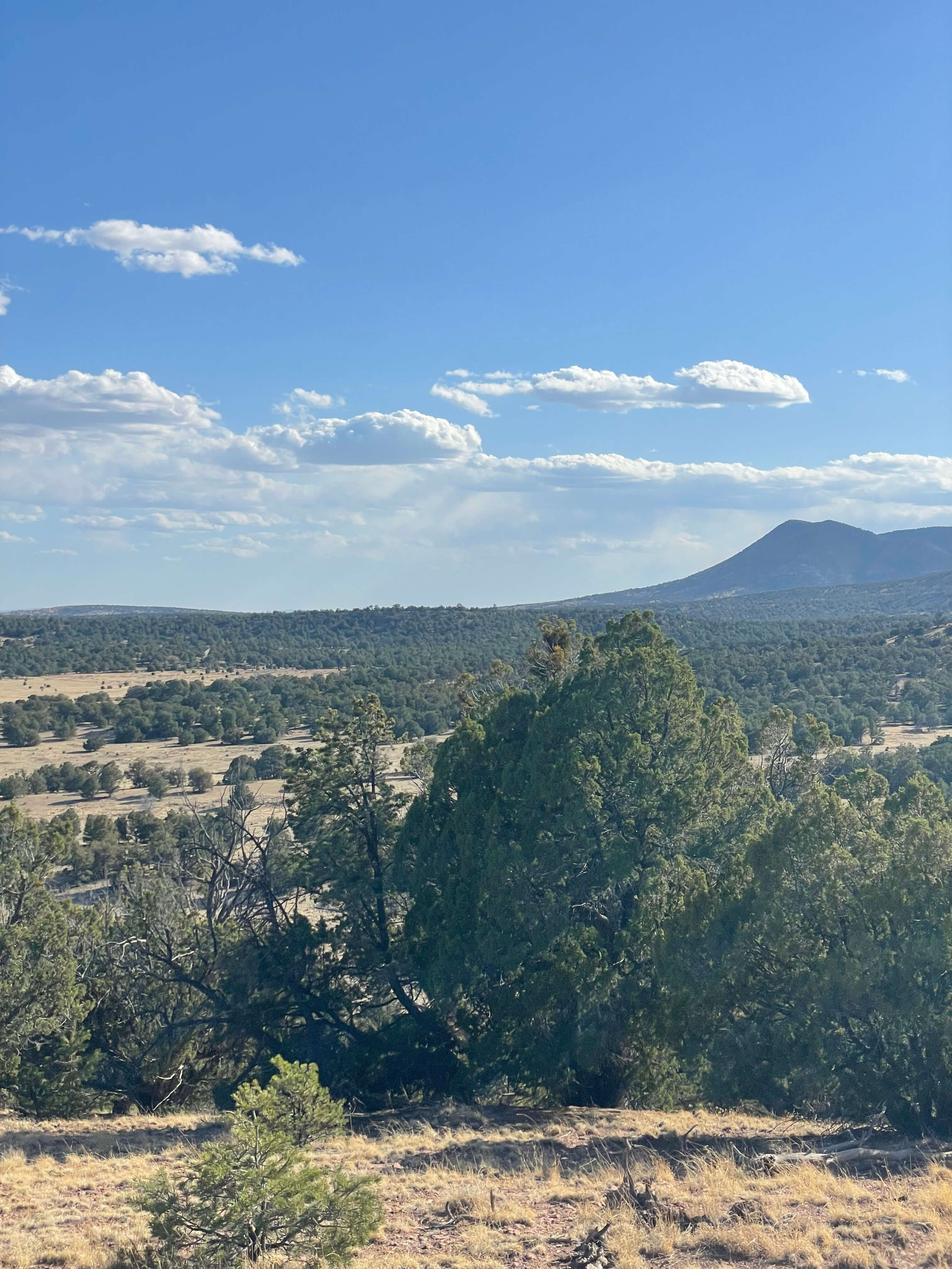 Datil Well Campground overlook