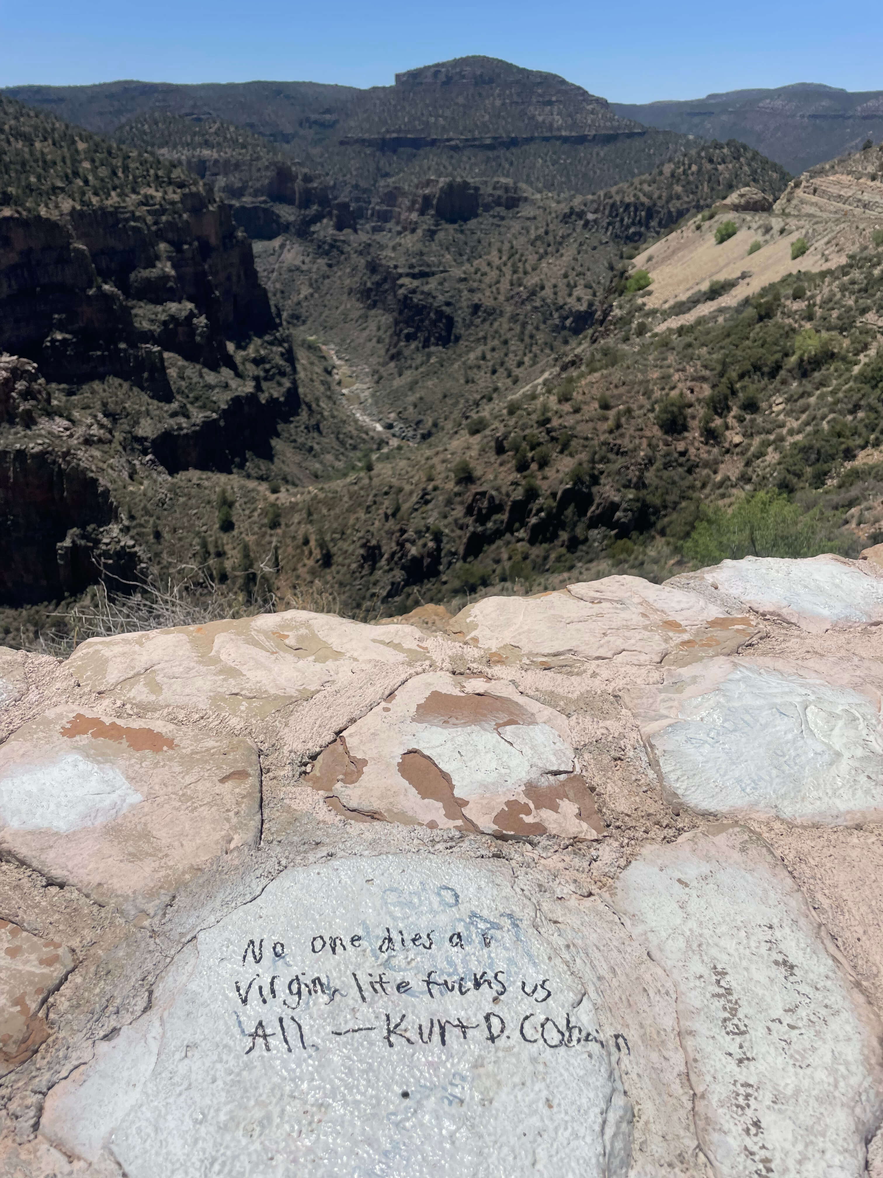 No one dies a virgin, life fucks us all - Kurt Cobain