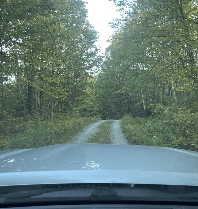 Gore Road