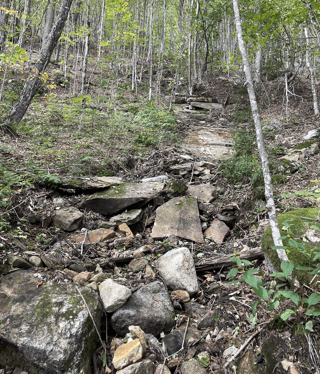 Dry stream near the base of Signal Mountain