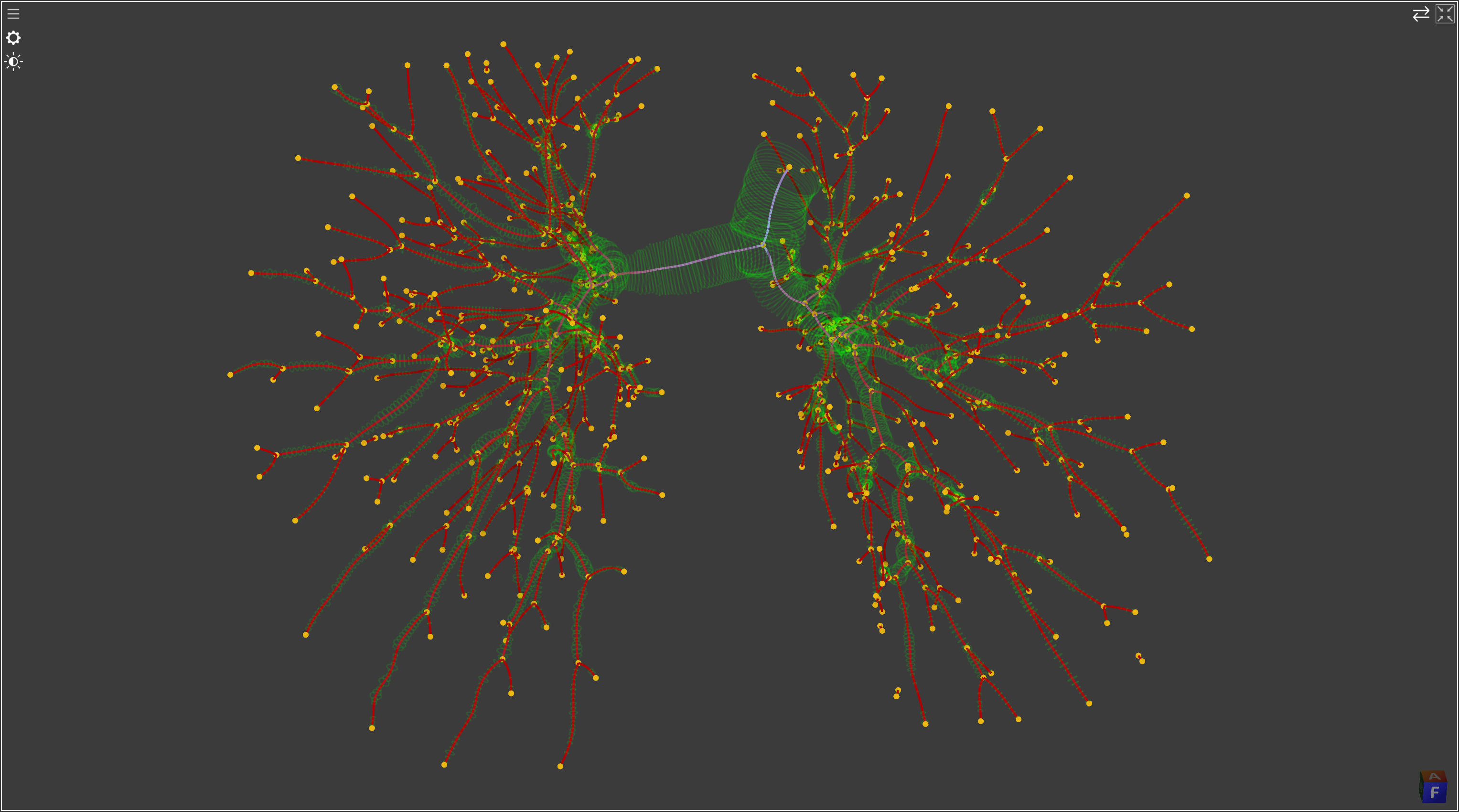 centerline representation of the bronchial tree
