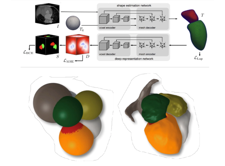 Network architecture of the ImplicitMeshNet, and a 3D mesh model showing the network on the example of a heart