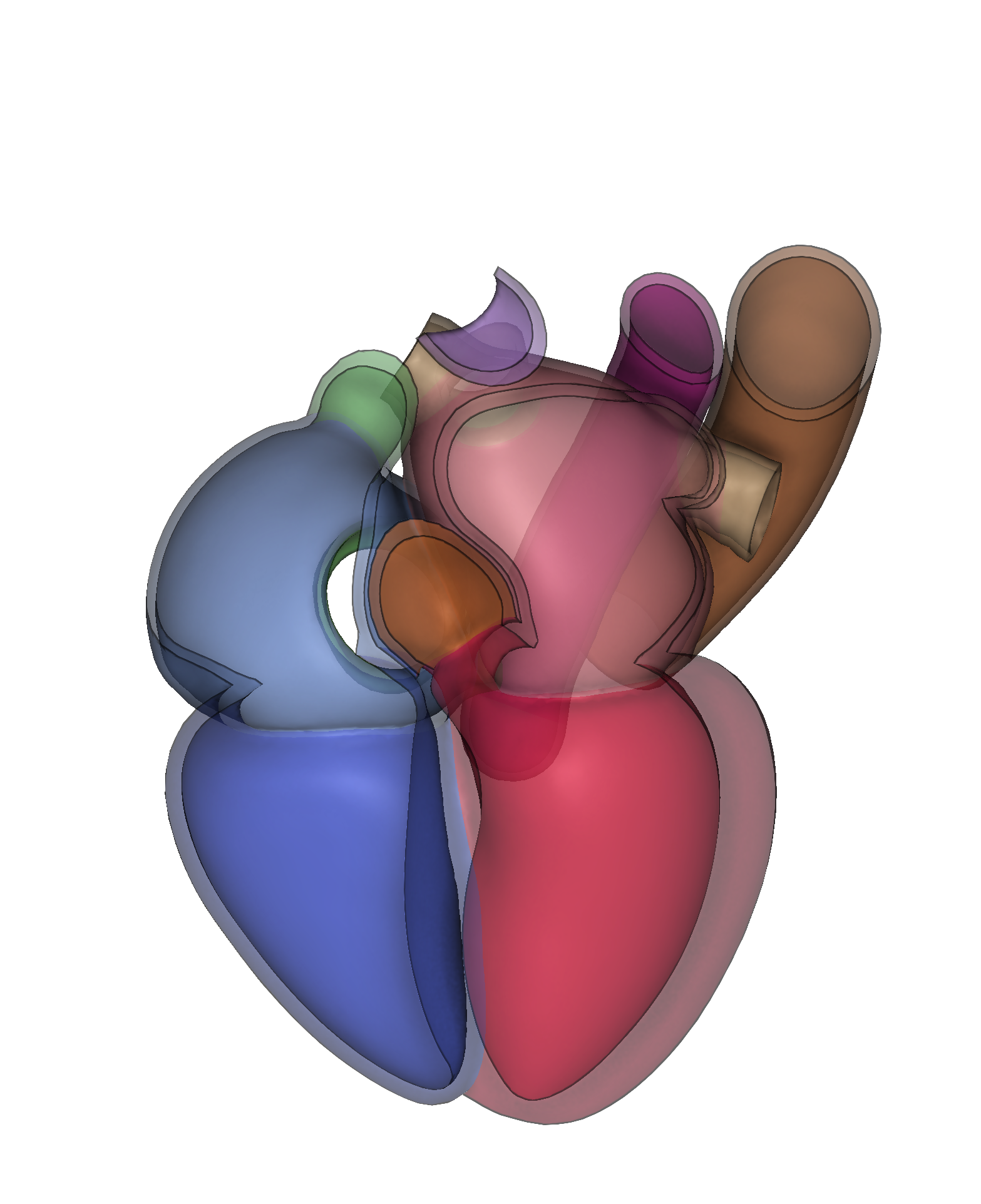 shape model of the structural heart from a tetrahedral mesh, with thick walls