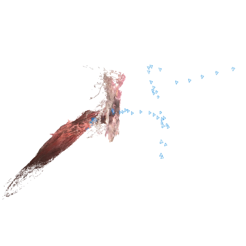 a 3D model of a trachea with visualized camera positions