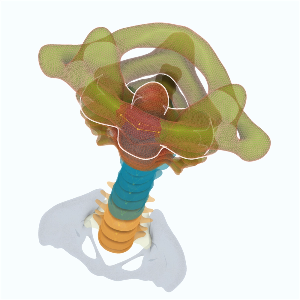 Segmented spine with vertebra meshes, key points and pose of each vertebra