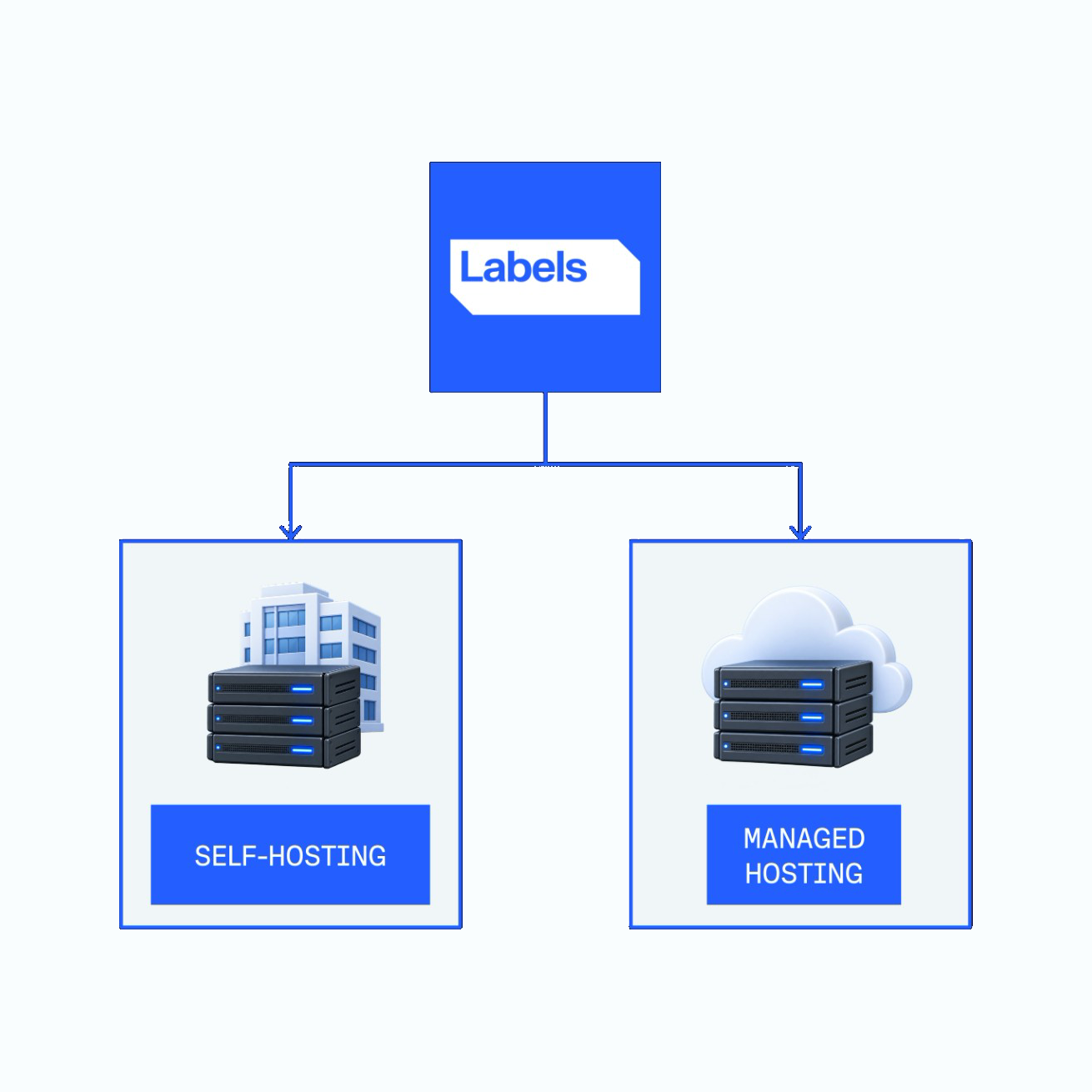 deploy ImFusion Labels either on premises (self-hosting) or use ImFusion's managed hosting