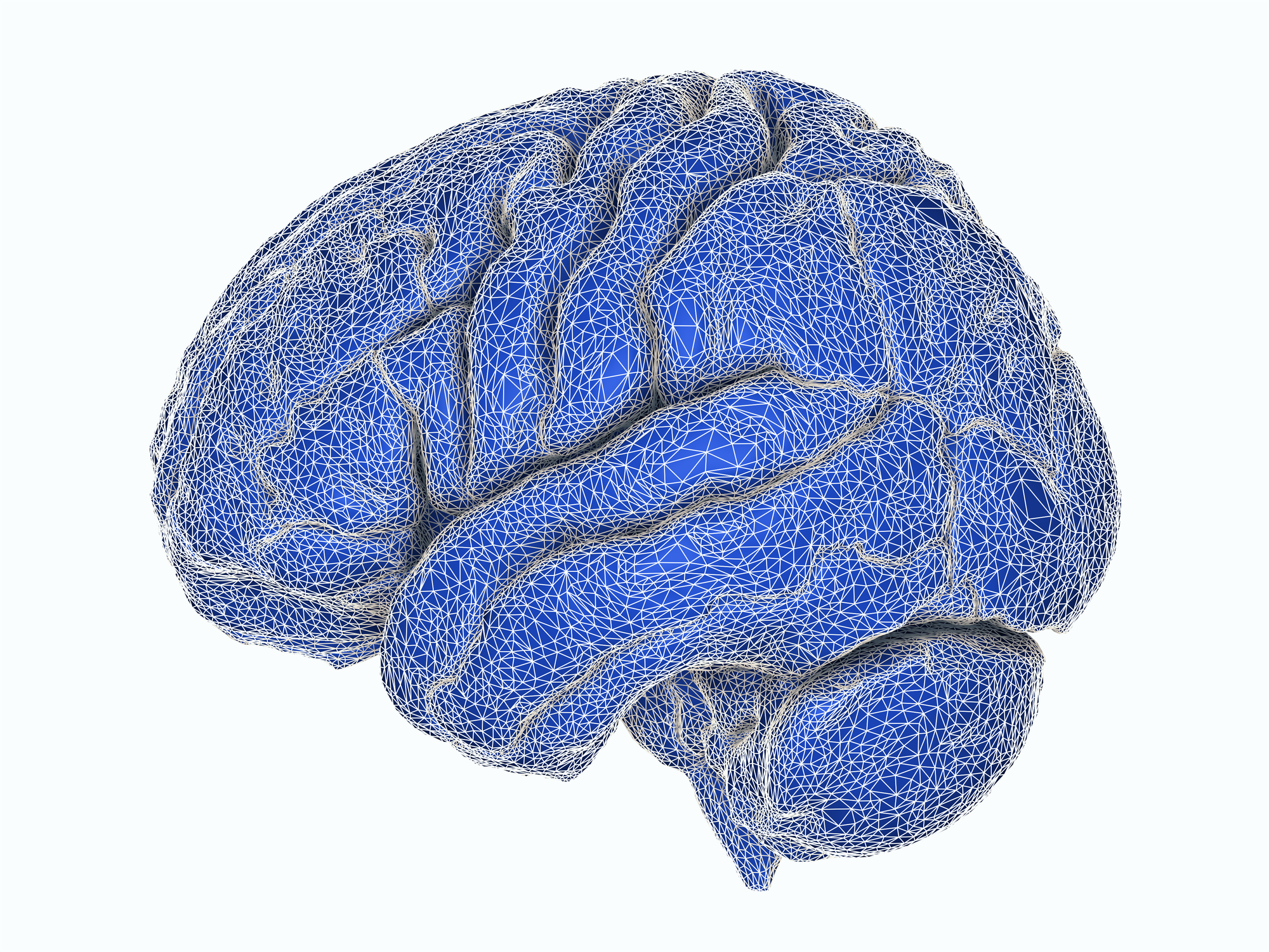 cranial module